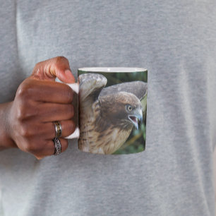 Rotschwanzbussard-Raptor-Foto Tasse