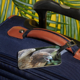 Rotschwanzbussard Raubvogel Foto Gepäckanhänger