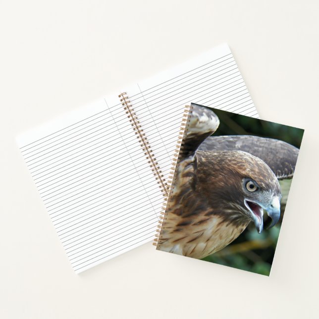 Rotschwanzbussard Raubvogel Foto Notizbuch (Innenseite)
