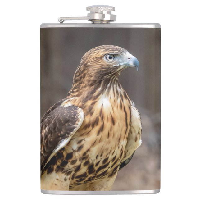 Rotschwanzfalken im Hudson-Tal Flachmann (Vorderseite)