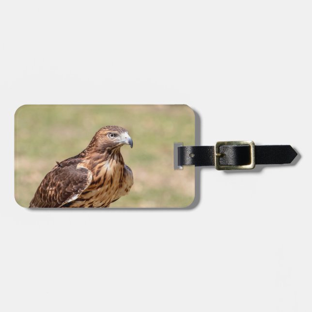 Rotschwanzfalken im Hudson-Tal Gepäckanhänger (Vorderseite horizontal)