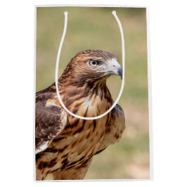 Rotschwanzfalken im Hudson-Tal Mittlere Geschenktüte