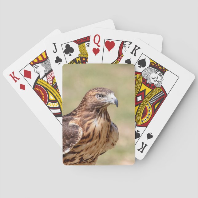 Rotschwanzfalken im Hudson-Tal Spielkarten (Rückseite)