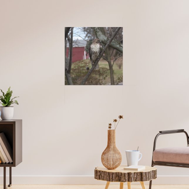 Rotschwanzfalken in Bäumen Poster (Wohnzimmer 3)