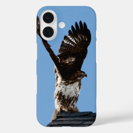 Rotschwanzfalken mit den Wings Hoftes Wildlife-Fot iPhone 16 Hülle