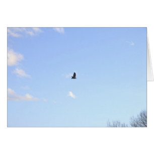 Rotschwanzfalken mit Flugkarte