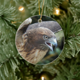 Rotschwanzfalken-Raptor-Foto Keramik Ornament