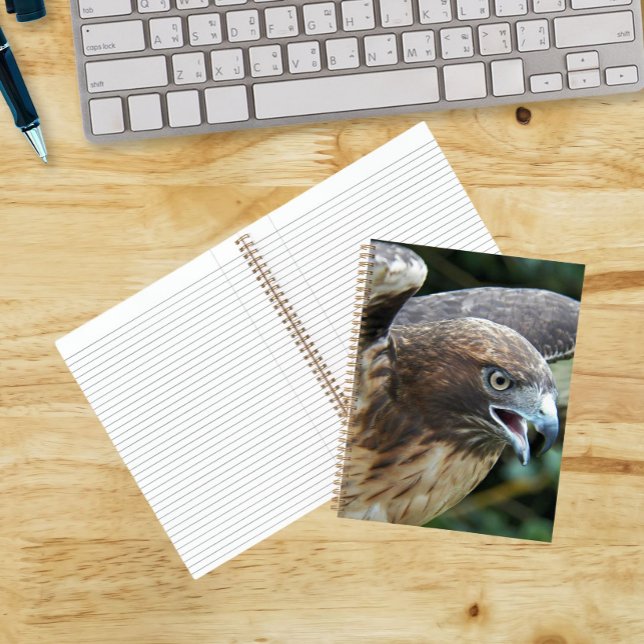 Rotschwanzfalken-Raptor-Foto Notizbuch (In Situ)