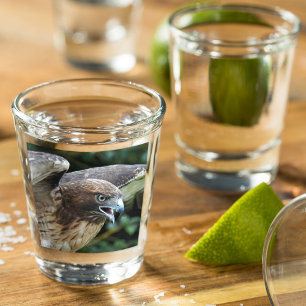Rotschwanzfalken-Raptor-Foto Schnapsglas