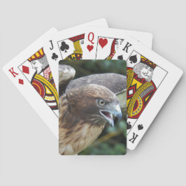 Rotschwanzfalken-Raptor-Foto Spielkarten
