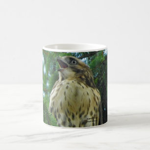 Rotschwanzhahn Kaffeetasse
