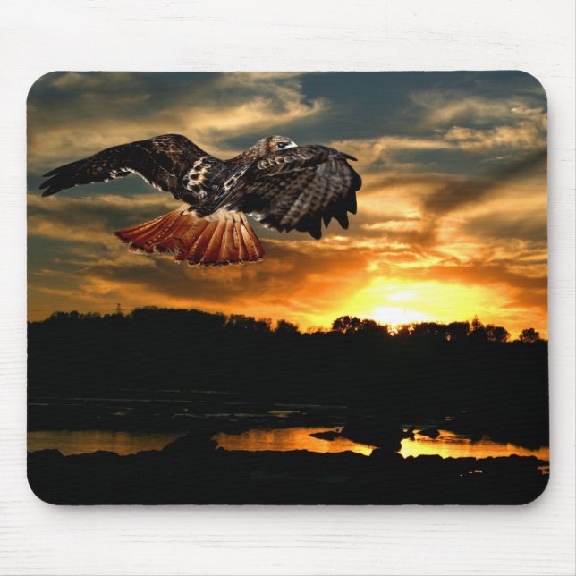 Rotschwanzhawk Mousepad (Vorne)