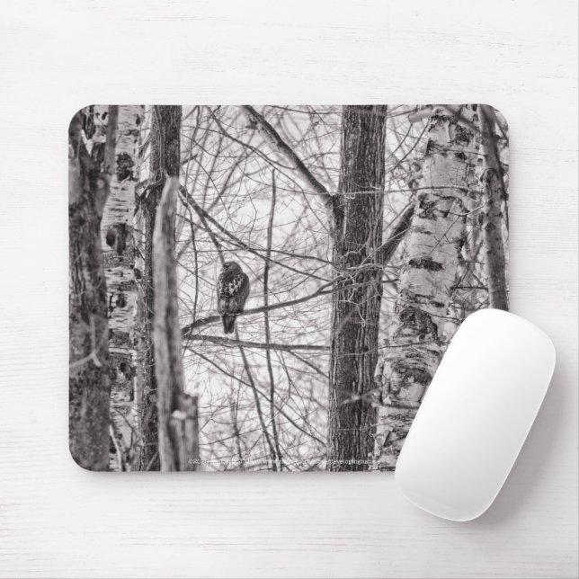 Rotschwanzhawk P8443 Mousepad (Mit Mouse)