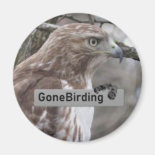 Rotschwanzmagnet aus der Hawk-Vogelbeobachtung Magnet