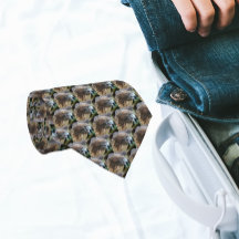 Rotschwanzpattern-Foto