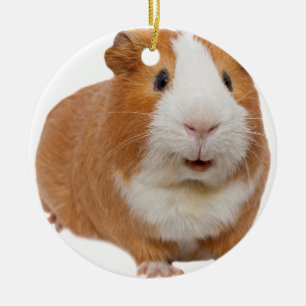 Rotschweine Keramik Ornament