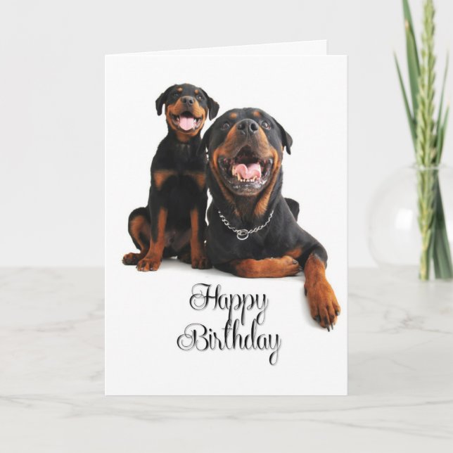 Rottie Birthday Card Karte (Vorderseite)
