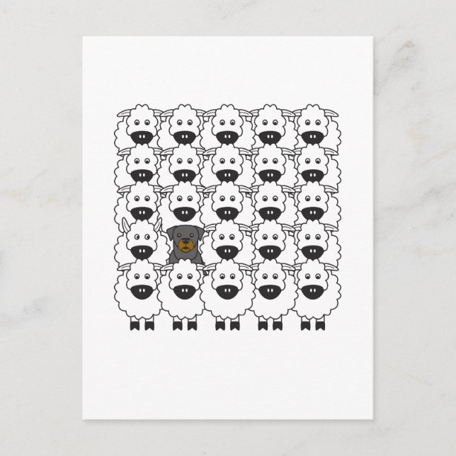 Rottie im Schafe Postkarte (Vorderseite)