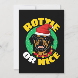 Rottie oder nettes Rottweiler Weihnachten