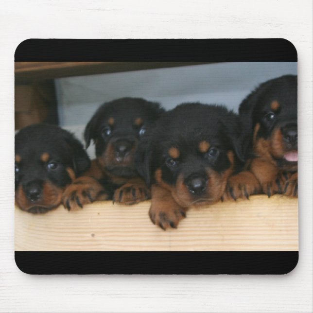 rottie Welpen Mousepad (Vorne)