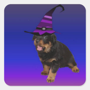 Rottie Witch Quadratischer Aufkleber