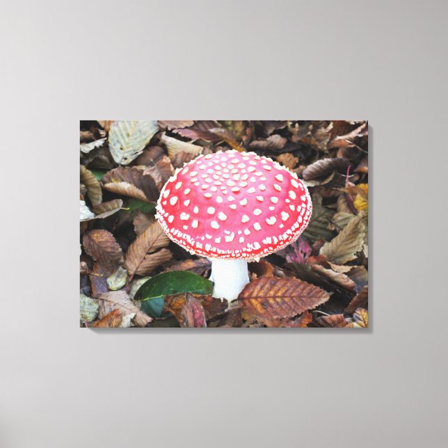 Rottoadstol, Amanita muscaria Leinwanddruck (Vorderseite)