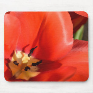 Rottuch Mousepad