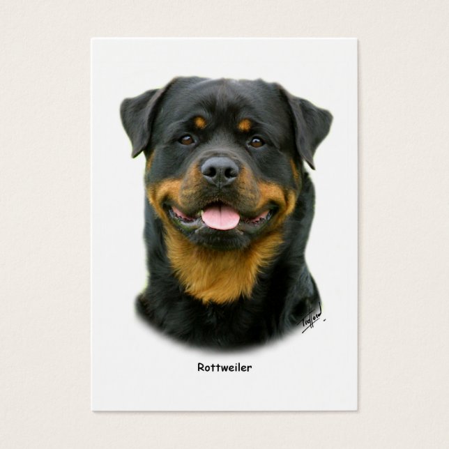 Rottweiler (Vorderseite)