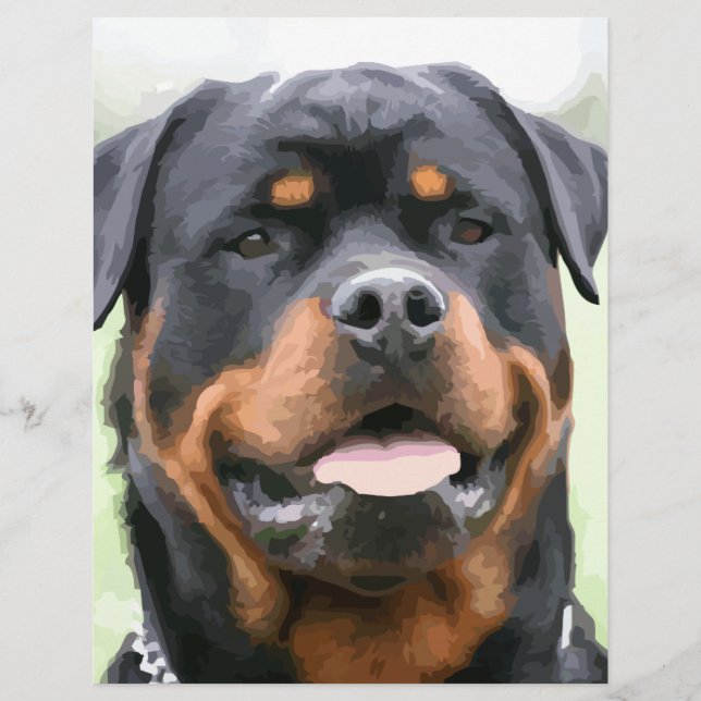 Rottweiler (Vorderseite)