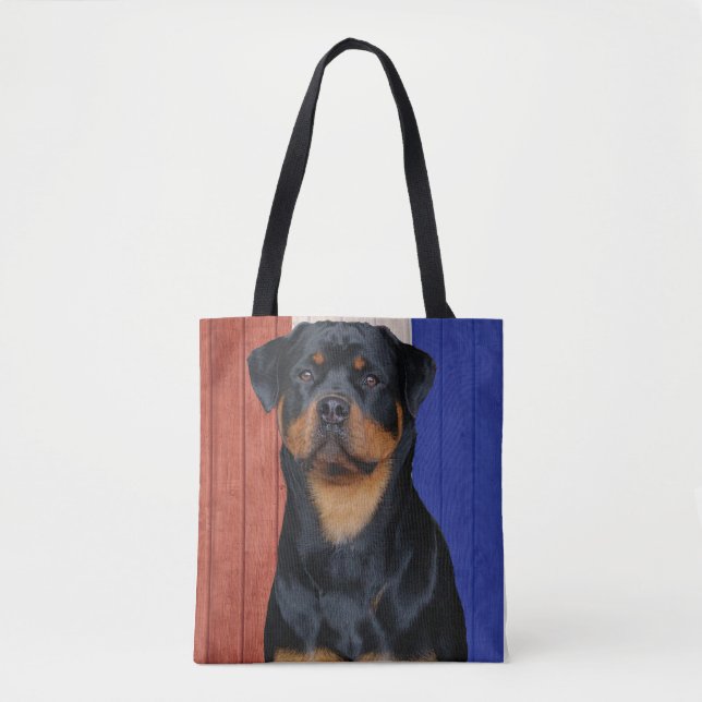 Rottweiler (Vorderseite)