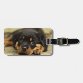 Rottweiler20150901 Gepäckanhänger