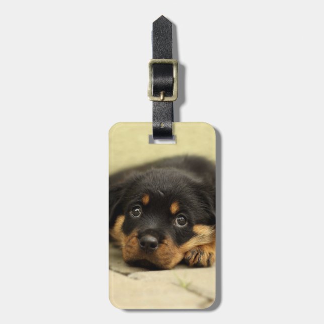 Rottweiler20150901 Gepäckanhänger (Vorderseite vertikal)