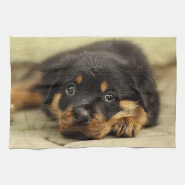 Rottweiler20150901 Handtuch (Horizontal)