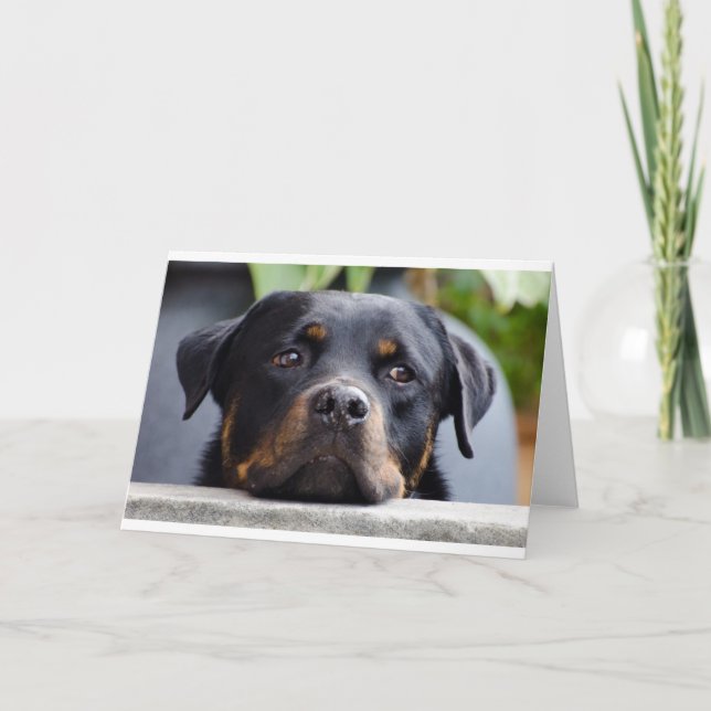 rottweiler 2.png karte (Vorderseite)