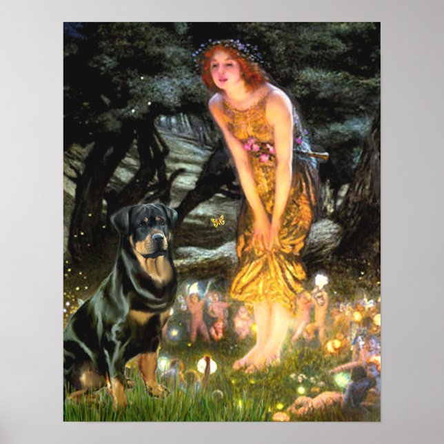 Rottweiler (#3) - Mitte Abend Poster (Vorne)