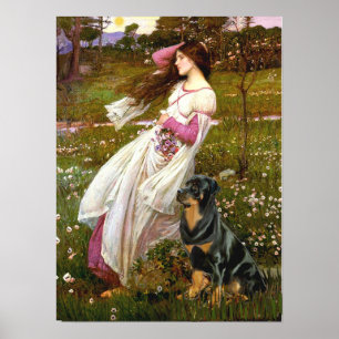 Rottweiler (#5) - Windblumen Poster