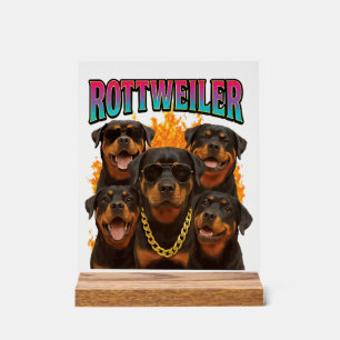 Rottweiler  acrylschild