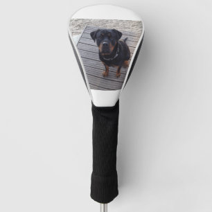 Rottweiler am Strand Golf Headcover