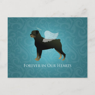 Rottweiler Angel - Entwurf eines Pet-Memorial Postkarte