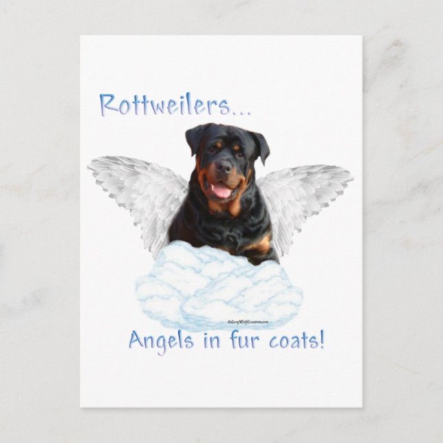 Rottweiler Angel Postkarte (Vorderseite)