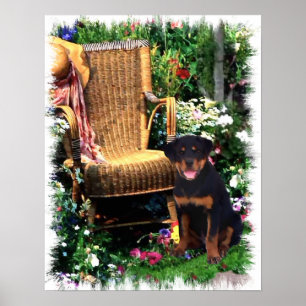 Rottweiler Art Print Poster