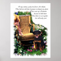 Rottweiler Art Print