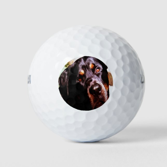 Rottweiler Artistic Pet Portait Golfball (Vorderseite)