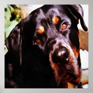 Rottweiler Artistic Pet Portait Poster