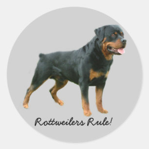 Rottweiler Aufkleber