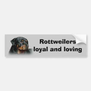 Rottweiler Autoaufkleber