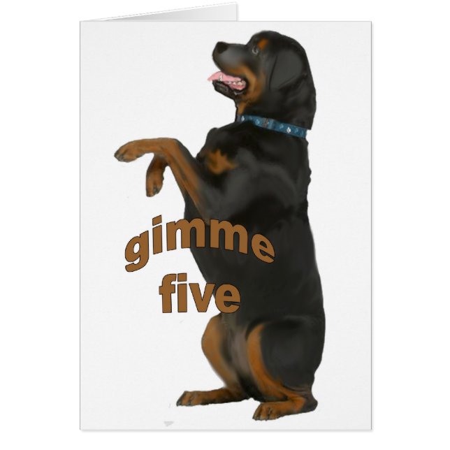 rottweiler_betteln (Vorne)