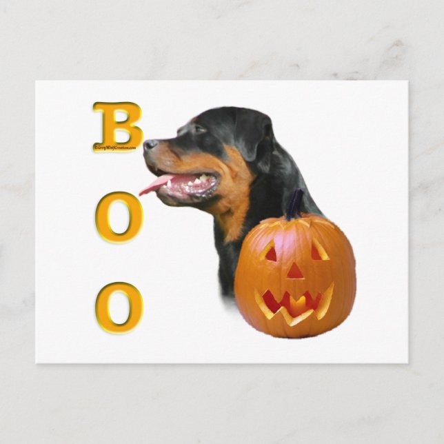 Rottweiler Boo Postkarte (Vorderseite)