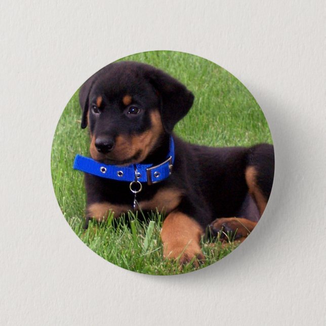 Rottweiler Button (Vorderseite)