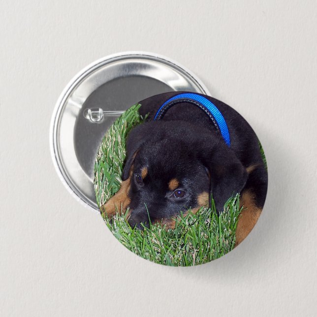 Rottweiler Button (Vorne & Hinten)